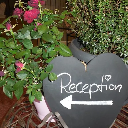 Hotel-gasthof Wilder Mann 3* Pfreimd