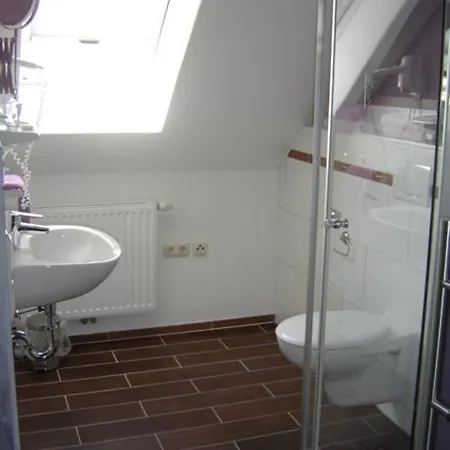 Hotel-gasthof Wilder Mann 3*