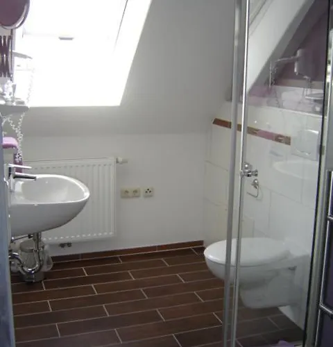 Hotel-gasthof Wilder Mann 3*