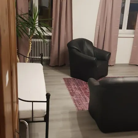 Hotel-gasthof Wilder Mann 3* Pfreimd