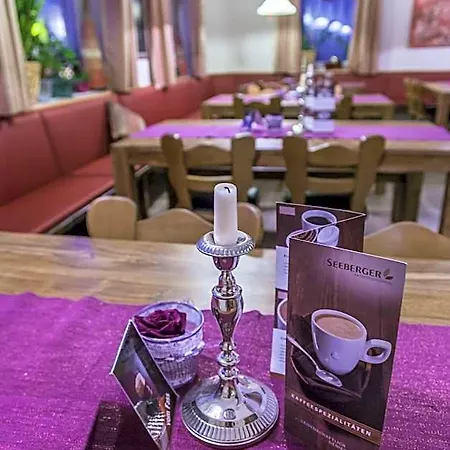 Hotel-gasthof Wilder Mann 3* Pfreimd