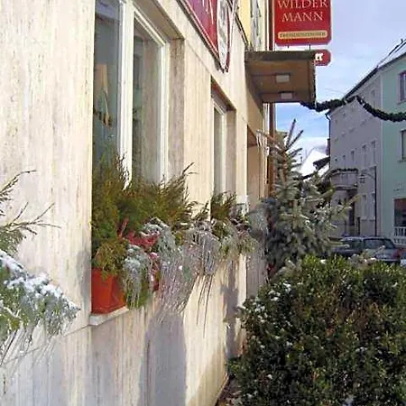 Hotel-gasthof Wilder Mann Pfreimd