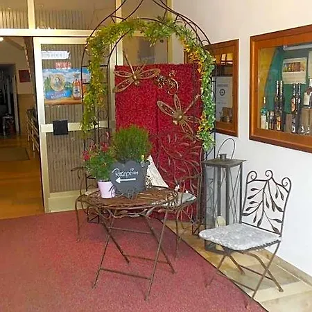 Hotel-gasthof Wilder Mann 3* Pfreimd