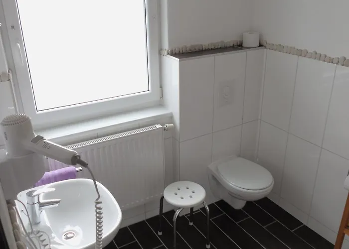 Hotel-gasthof Wilder Mann Pfreimd