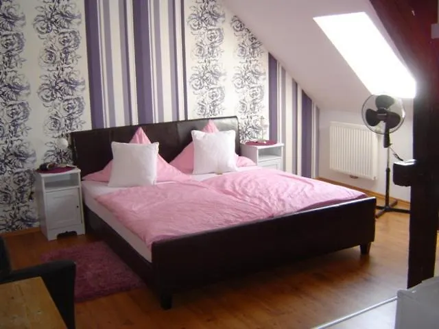 Hotel-gasthof Wilder Mann 3*